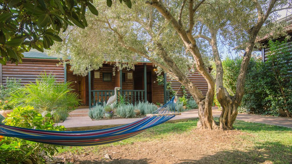 Lavender In The Mountains Villa Ramot Naftali Buitenkant foto